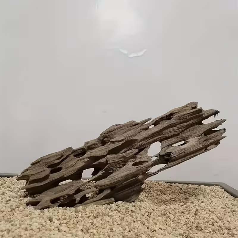 Aquarium Planted Seeds - Dekorasi Akuarium Kayu Udang, Aksesori Hiasan
