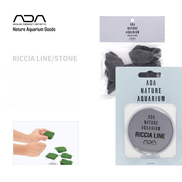 Planted Aquarium Ada - ADA Riccia Line Antler Moss Binding
