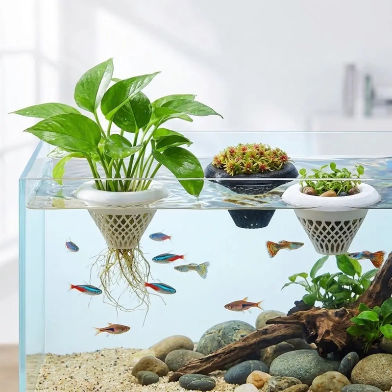 Planted Aquarium Jar - Pot Tanaman Akuarium Mengambang, Penyangga Tanaman