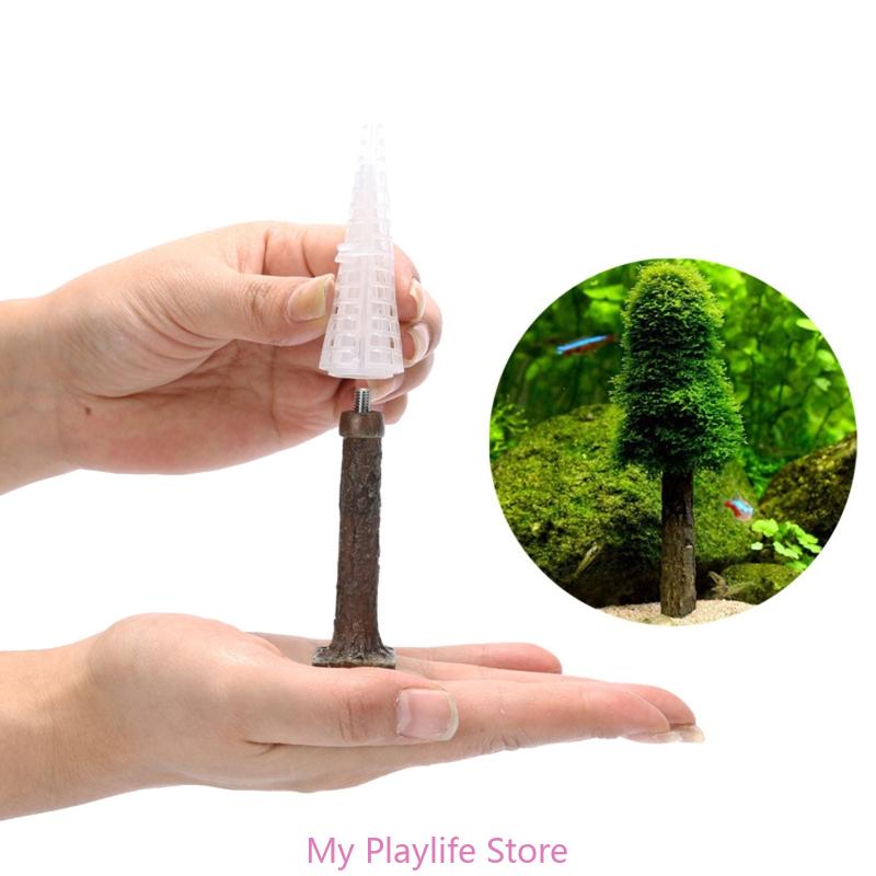 Planted Aquarium Mini - Akuarium lumut Dekorasi tangki ikan pemegang