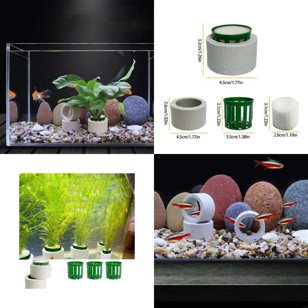 Aquarium Plant Rings - 37ME 10 Buah Set Cincin Tetap