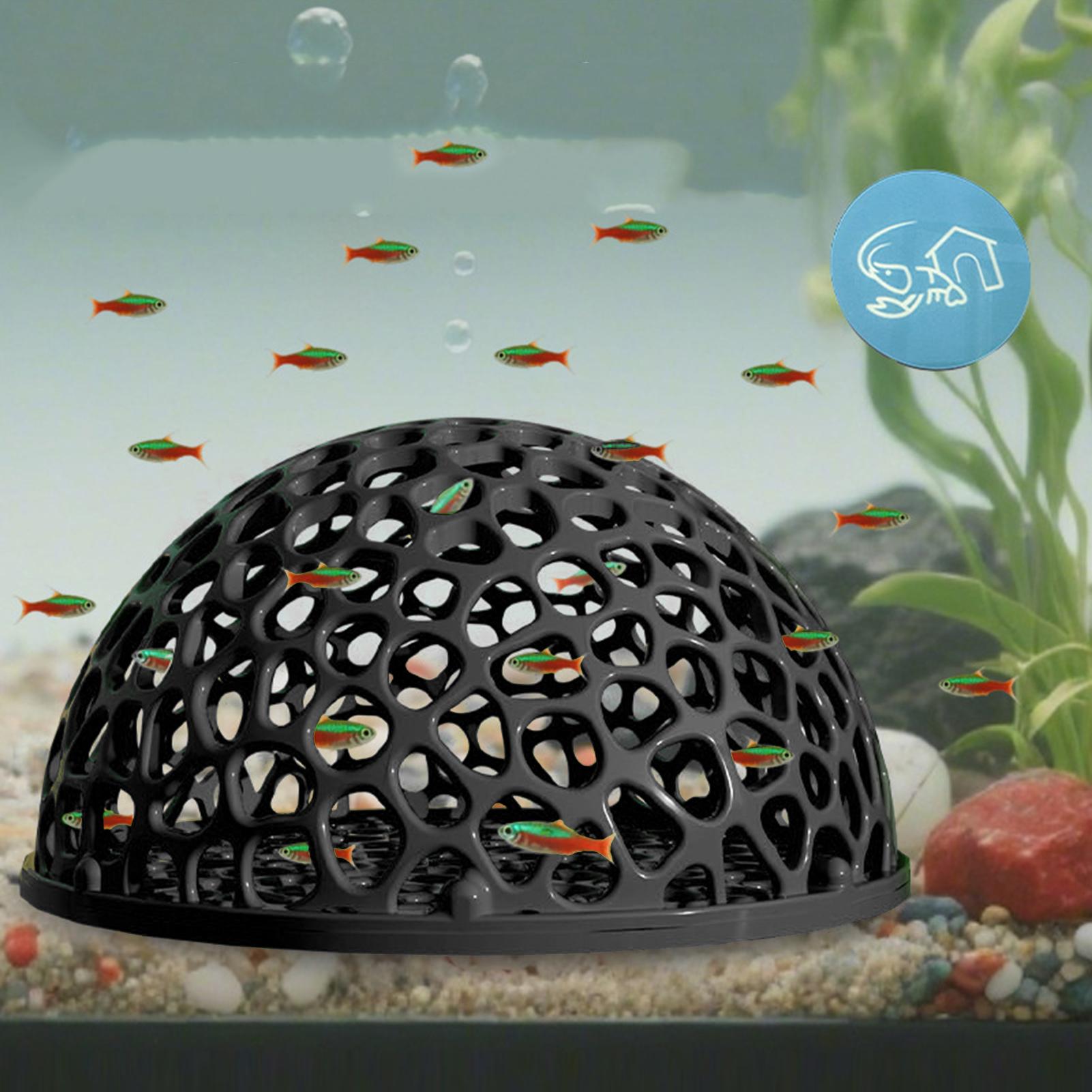 Aquarium Planted Seeds - Tempat Bertengger Udang, Tangki Ikan, Tempat