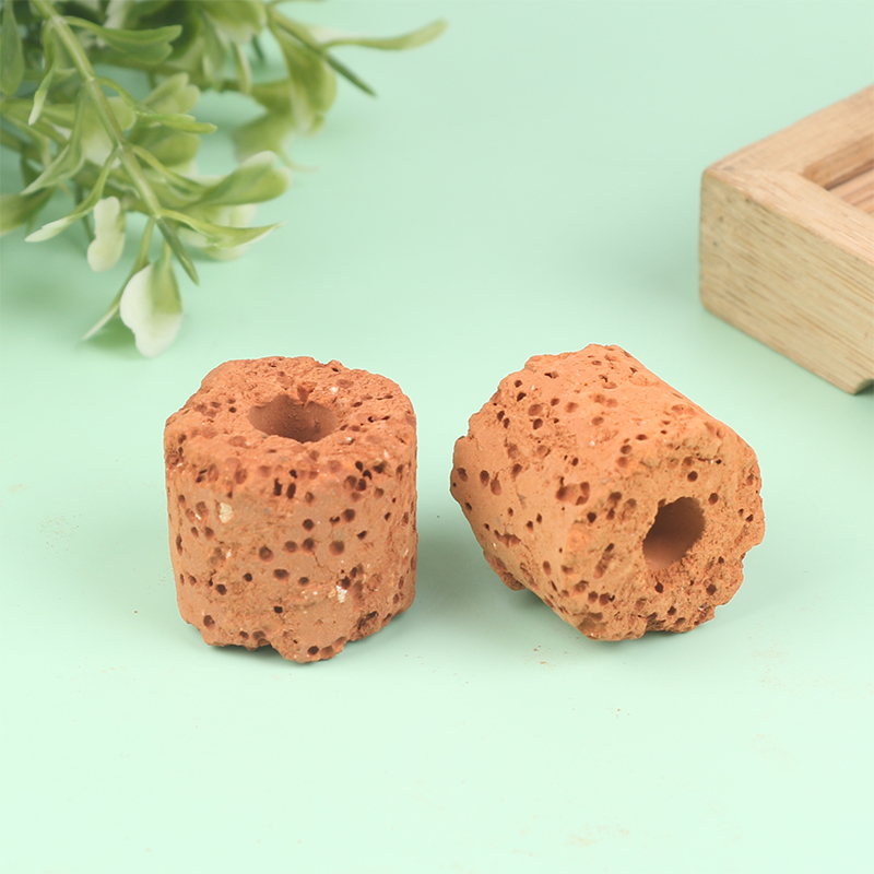 Aquarium Plant Rings - 10Pcs Cincin Tanaman Akuarium, Penahan Filter