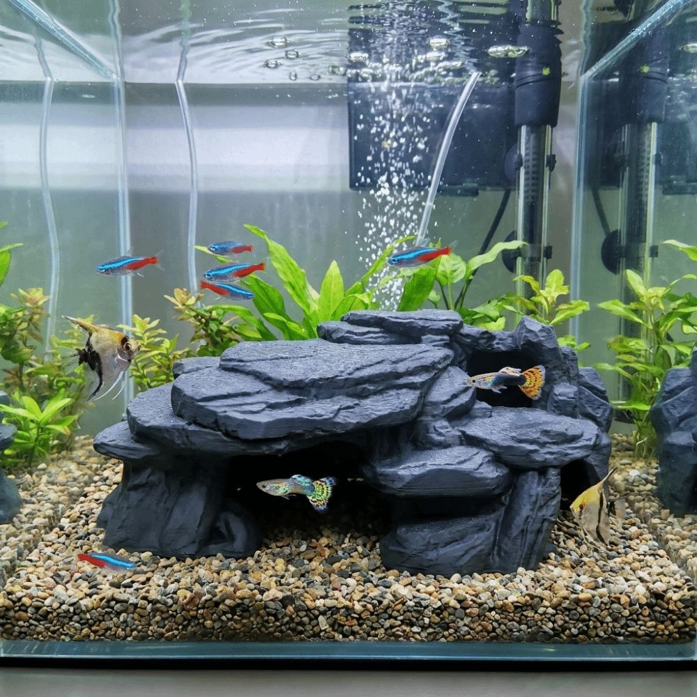 Aquarium Planted Seeds - Ornamen Batu Akuarium Cetak 3D Tekstur