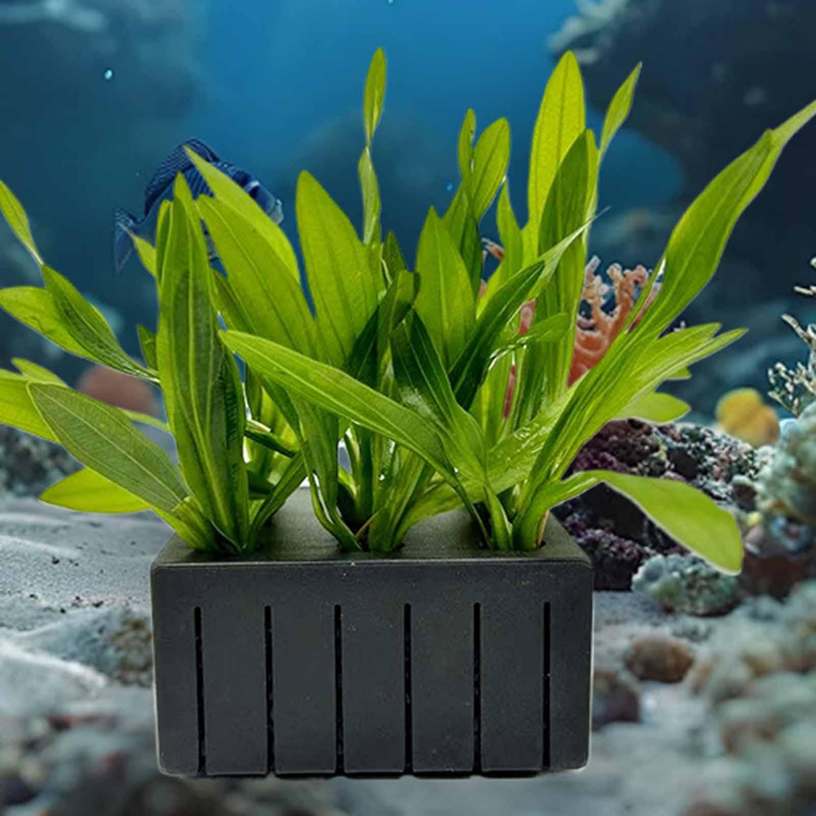 Planted Aquarium Mini - Keranjang Tanaman Akuarium Plastik PP Tempat