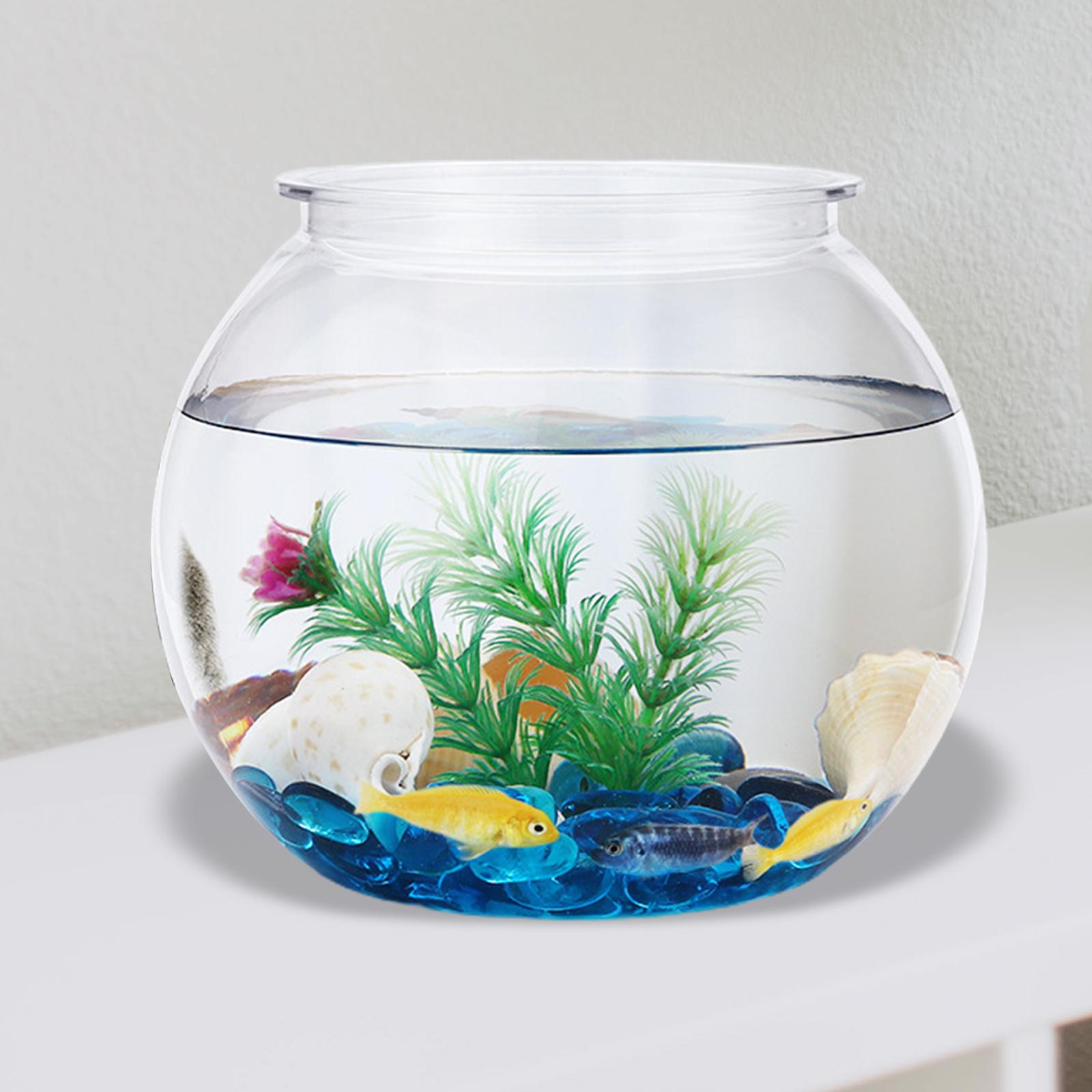Transparan tangki ikan kecil d - Planted Aquarium Bowl ulasan dan harga