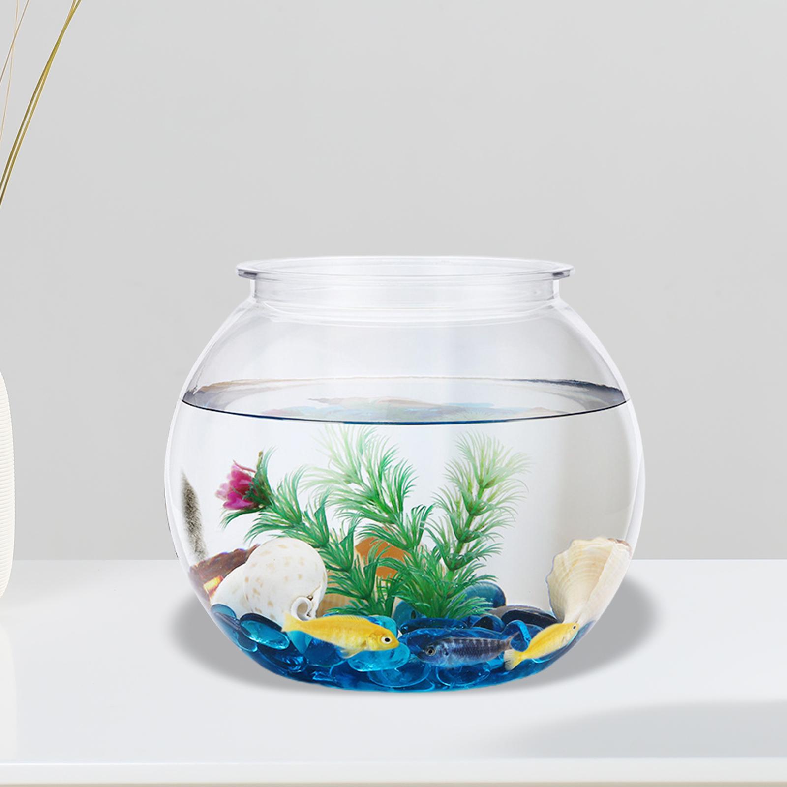 Transparan tangki ikan kecil d - Planted Aquarium Bowl ulasan dan harga