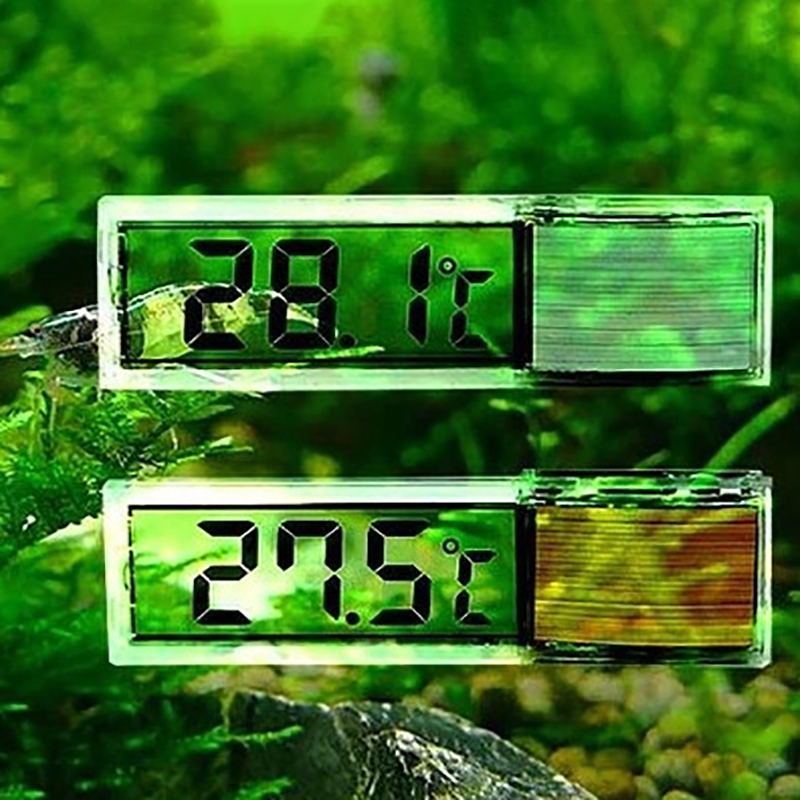 Akuarium Tahan Air Termometer  - Aquarium Planted Seeds ulasan dan harga