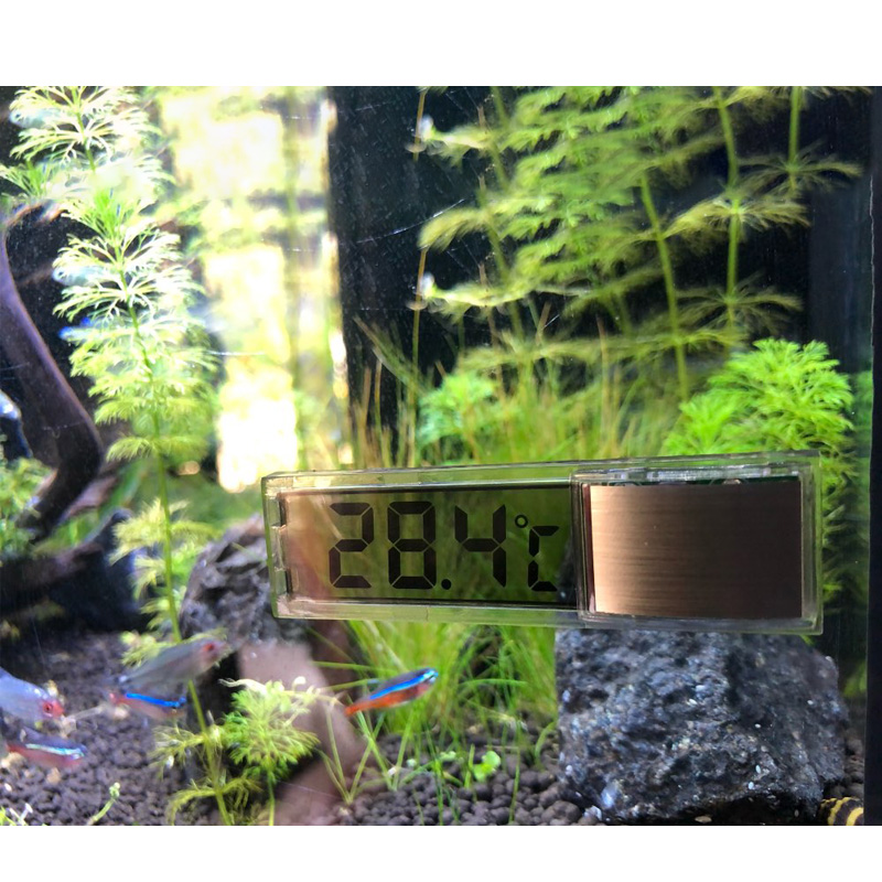 Akuarium Tahan Air Termometer  - Aquarium Planted Seeds ulasan dan harga