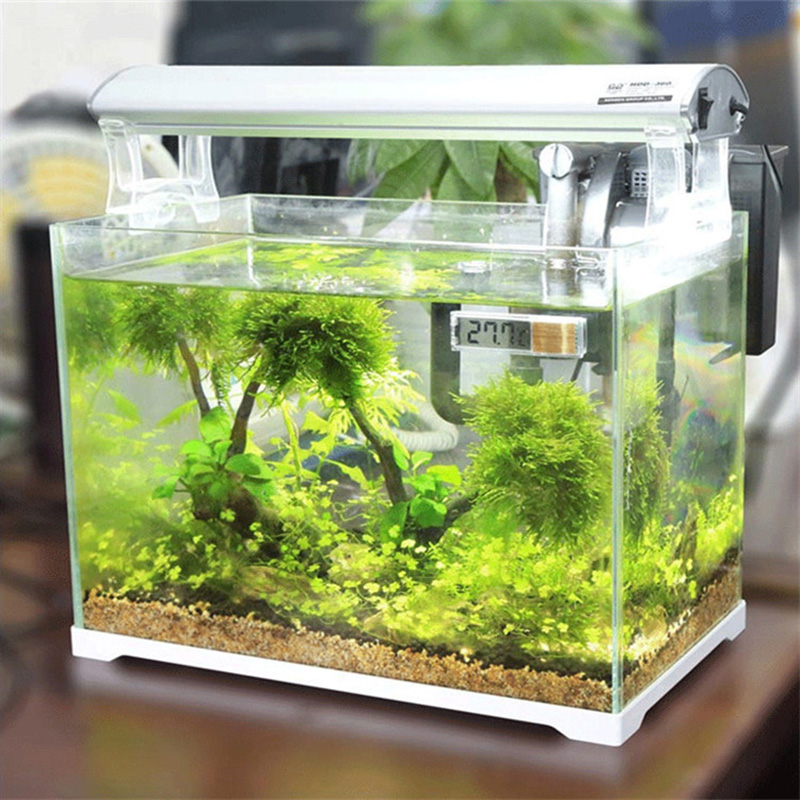 Akuarium Tahan Air Termometer  - Aquarium Planted Seeds ulasan dan harga