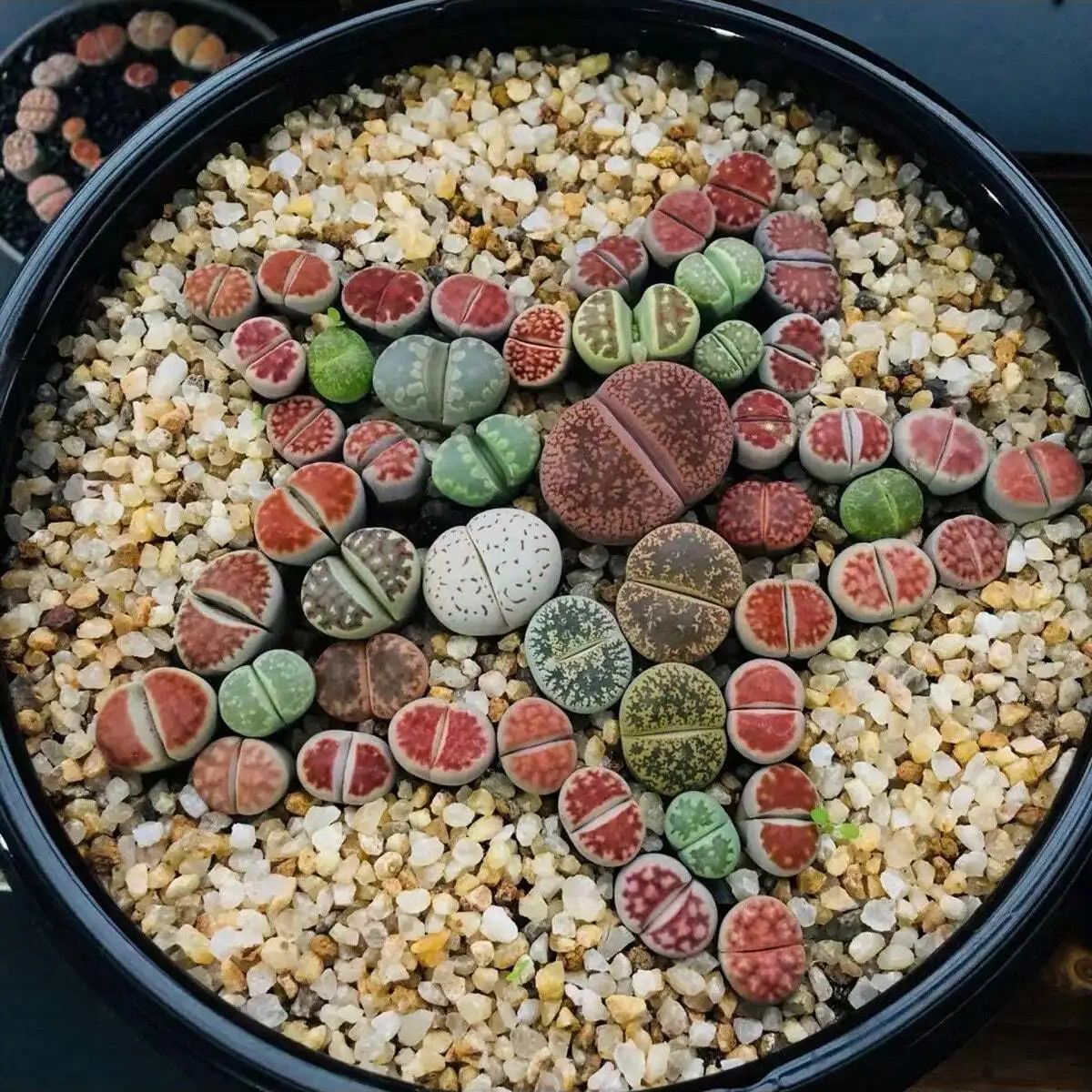 1 buah-250g batu kerikil krist - Aquarium Planted Sand ulasan dan harga
