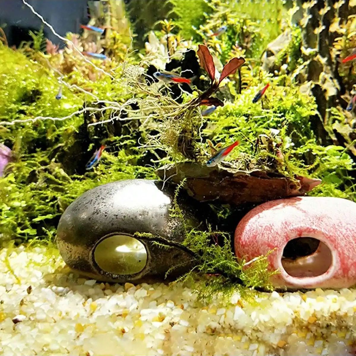 1 buah-250g batu kerikil krist - Aquarium Planted Sand ulasan dan harga
