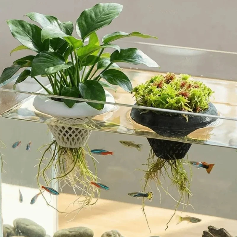 Pot Tanaman Akuarium Mengamban - Planted Aquarium Jar ulasan dan harga