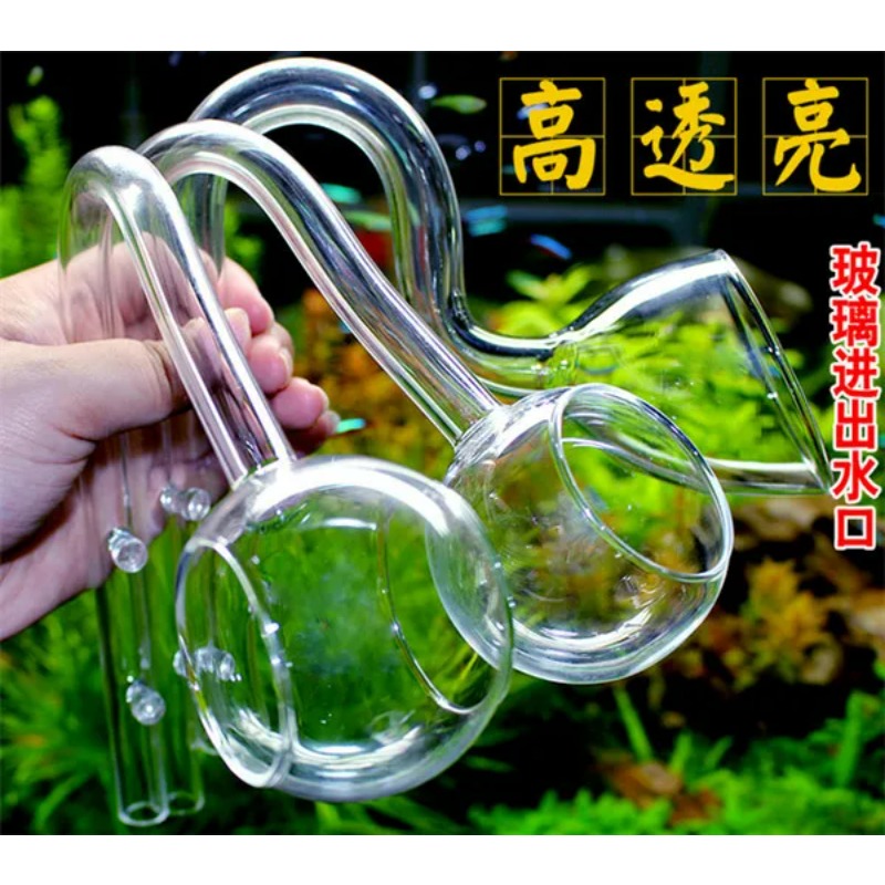 Lily Pipa Kaca Ada Kualitas Do - Planted Aquarium Ada ulasan dan harga