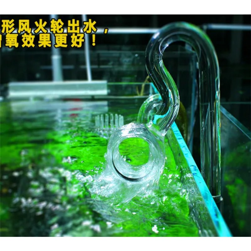 Lily Pipa Kaca Ada Kualitas Do - Planted Aquarium Ada ulasan dan harga
