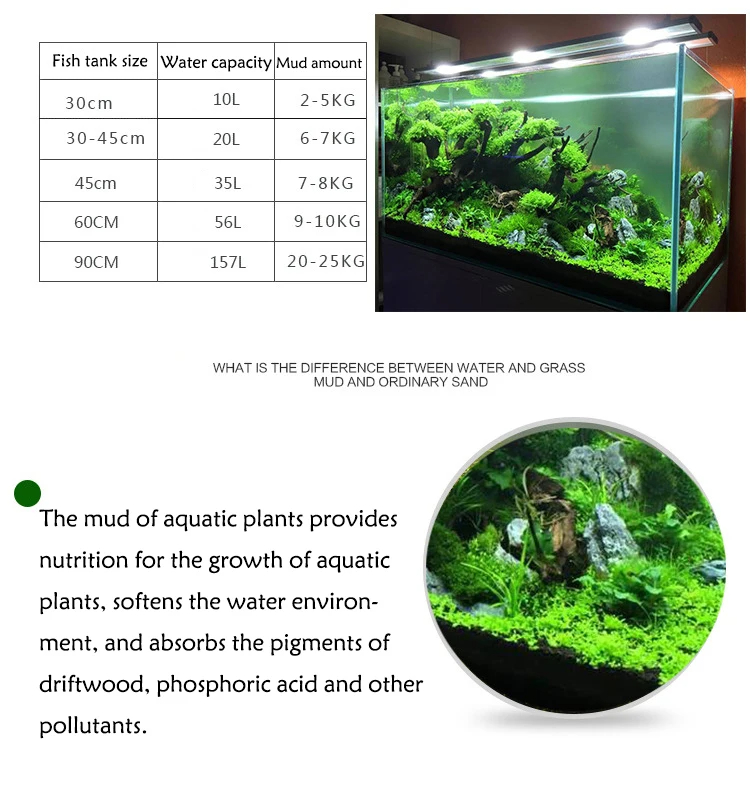 Tangki Ikan Air Rumput Lumpur  - Aquarium Planted Seeds ulasan dan harga