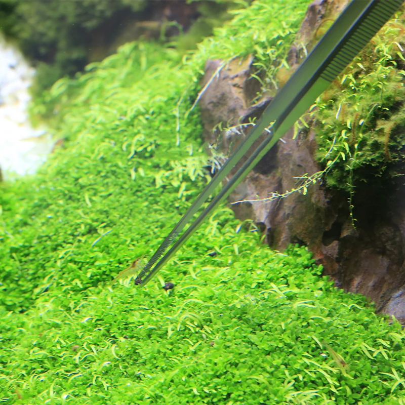 VIV ADA Pinset Pro Air Berkual - Planted Aquarium Ada ulasan dan harga