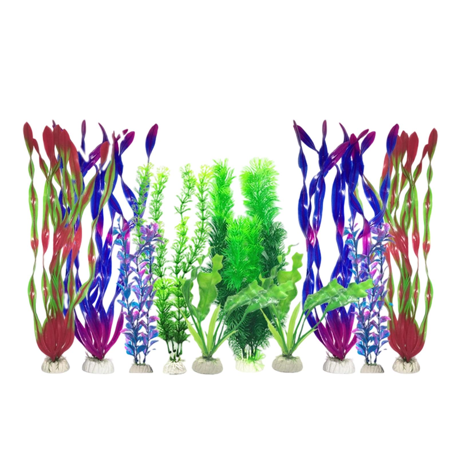 Set Tanaman Akuarium Buatan Pl - Planted Aquarium Mini ulasan dan harga