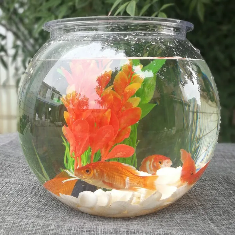 Mangkuk Ikan Mas Desktop Trans - Planted Aquarium Bowl ulasan dan harga
