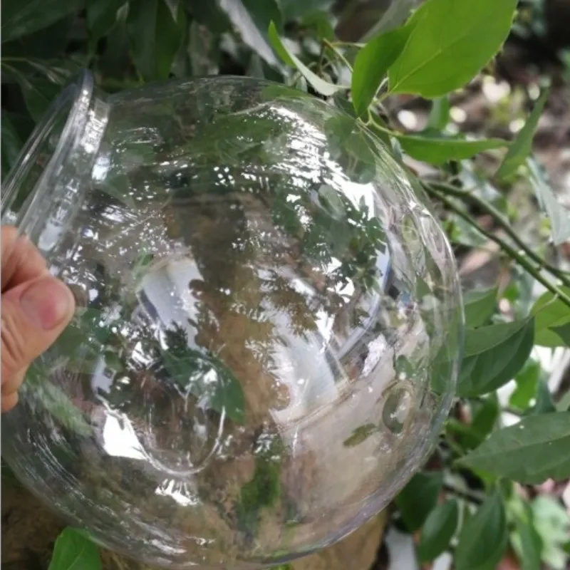 Mangkuk Ikan Mas Desktop Trans - Planted Aquarium Bowl ulasan dan harga