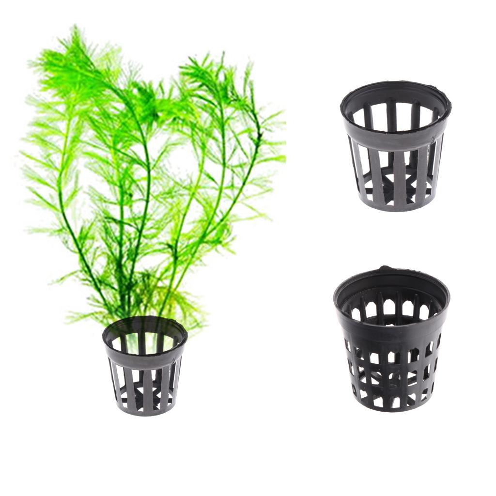 Keranjang Tanam Jaring Berluba - Planted Aquarium Mini ulasan dan harga