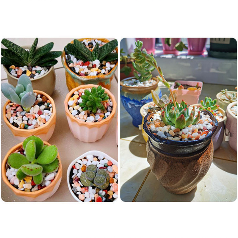 Pasir Akuarium Alami 5Mm 200G- - Aquarium Planted Sand ulasan dan harga