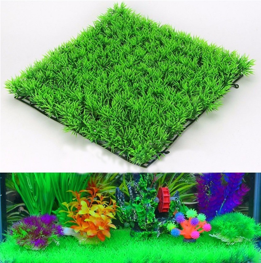 Tanaman Rumput Hijau Buatan Ru - Planted Aquarium Materials ulasan dan harga
