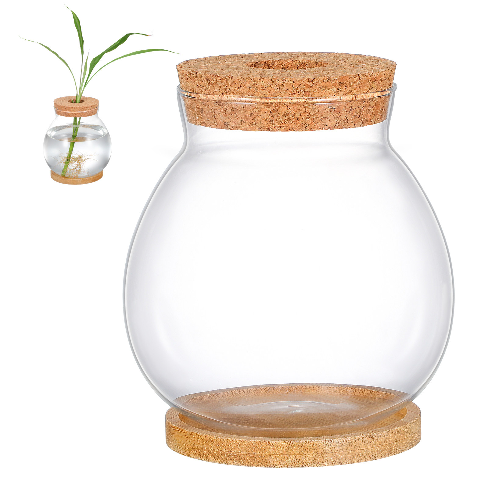 Akuarium Kaca Meja Kecil untuk - Planted Aquarium Bowl ulasan dan harga