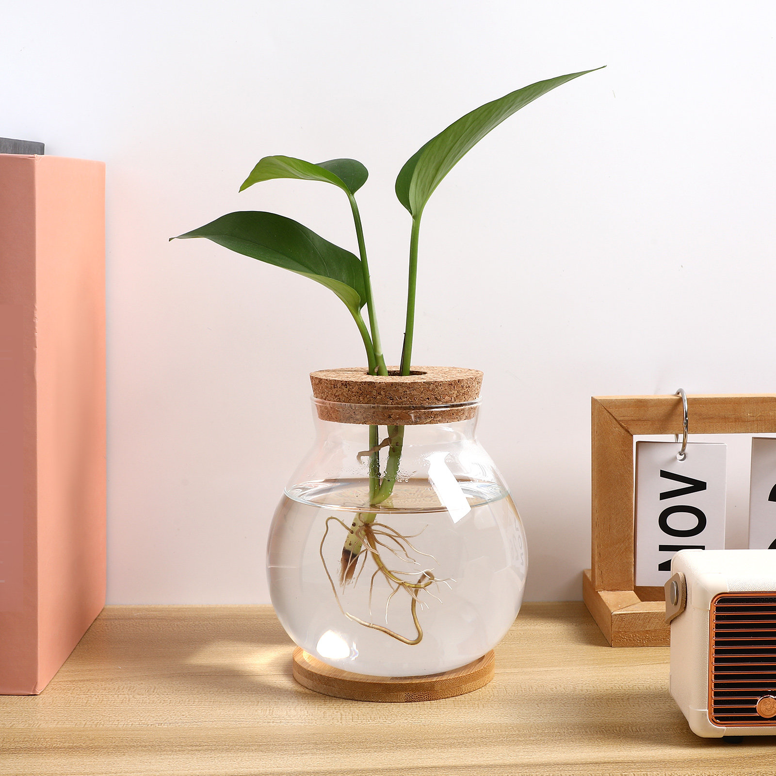 Akuarium Kaca Meja Kecil untuk - Planted Aquarium Bowl ulasan dan harga