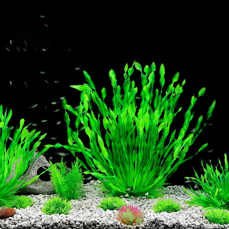 13/23/32/36/40Cm Tanaman Buata - Aquarium Planted Seeds ulasan dan harga