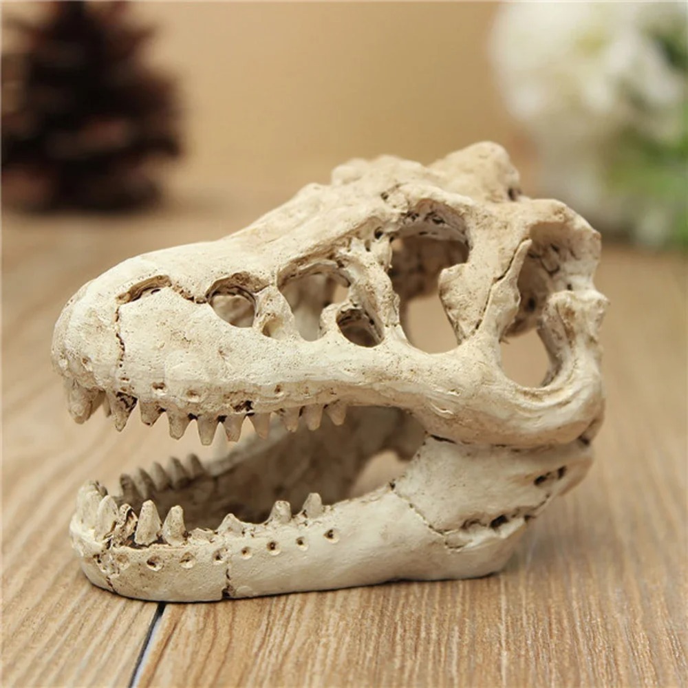 Model Fosil Dinosaurus Tangki  - Aquarium Zombie ulasan dan harga