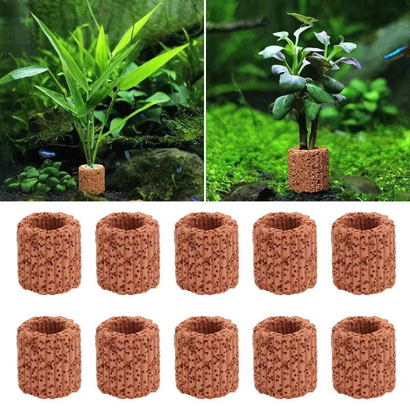 Cincin Tetap Tanaman Air untuk - Aquarium Plant Rings ulasan dan harga