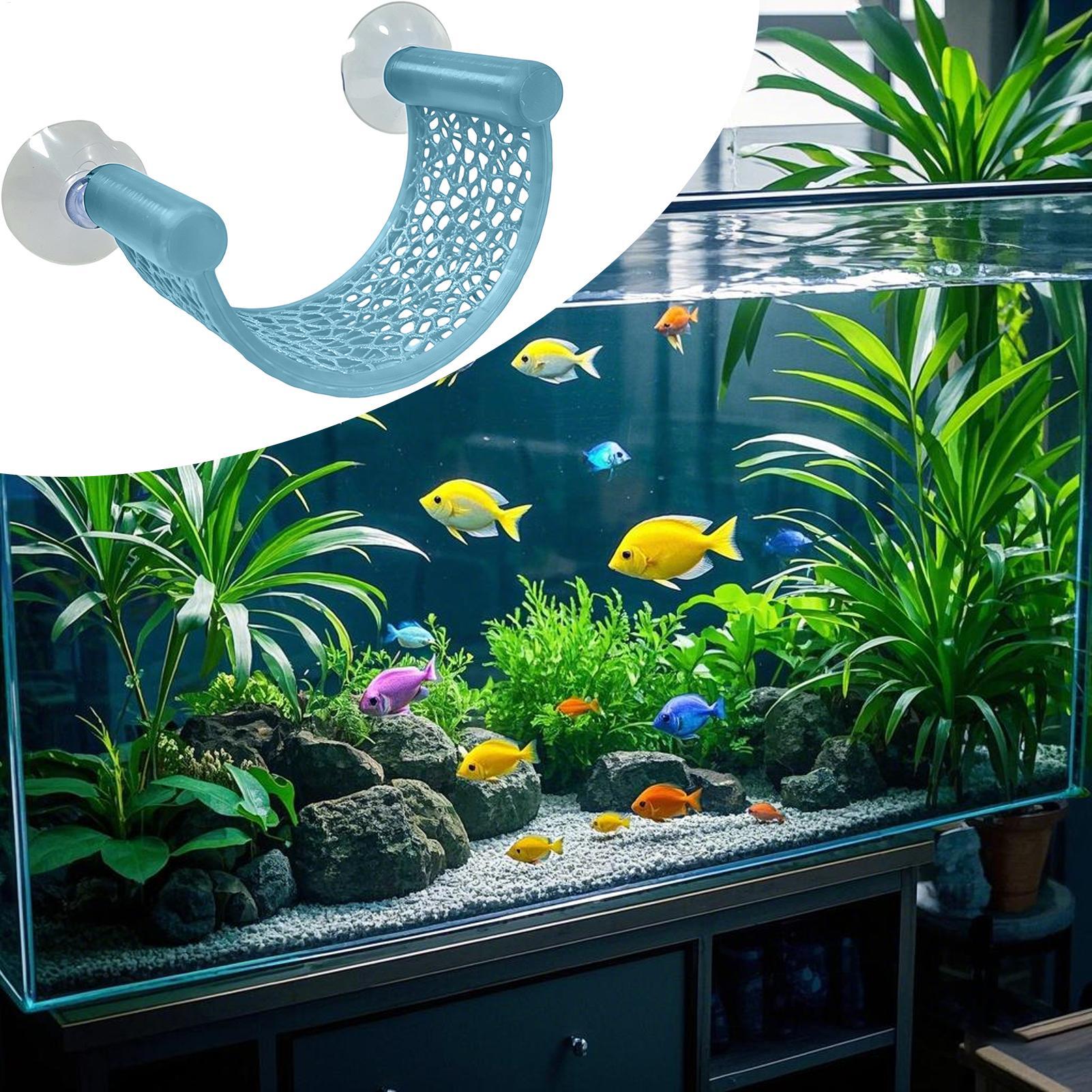 Tempat Tidur Ikan Cupang Menga - Aquarium Plant Rings ulasan dan harga