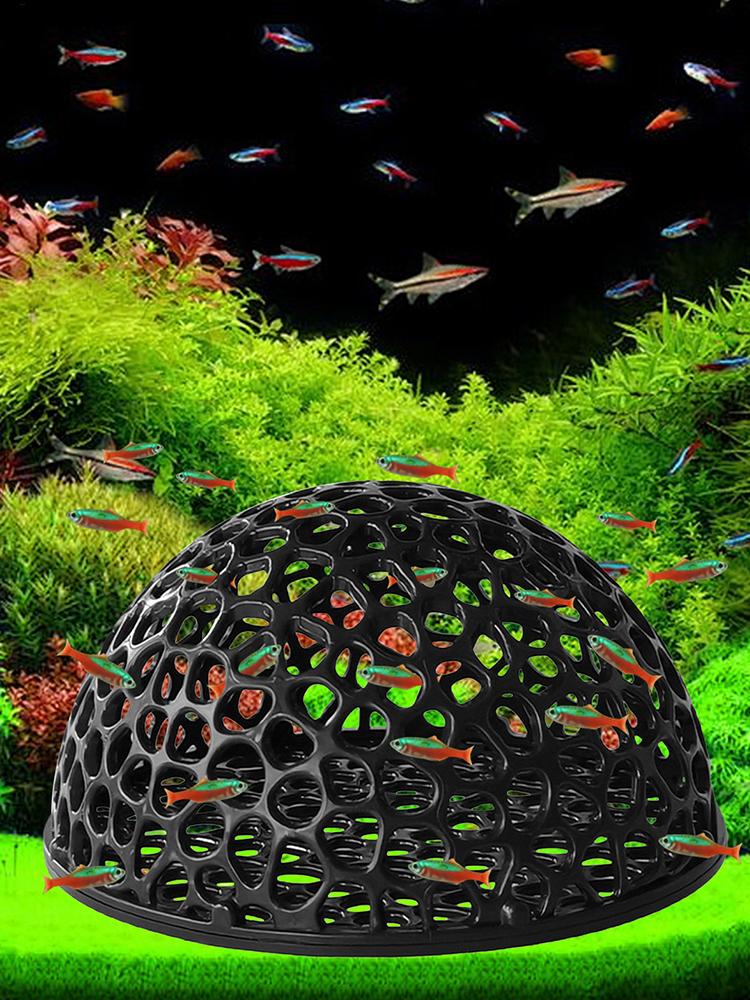 Tempat Persembunyian Tersembun - Aquarium Plant Rings ulasan dan harga