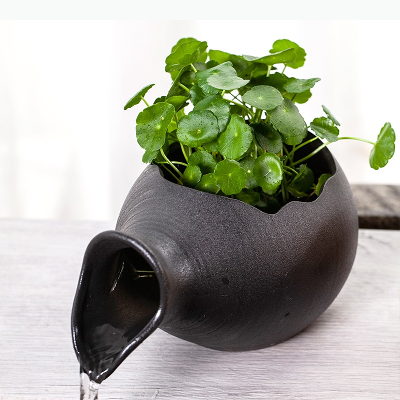 Akuarium Keramik untuk Budiday - Planted Aquarium Jar ulasan dan harga