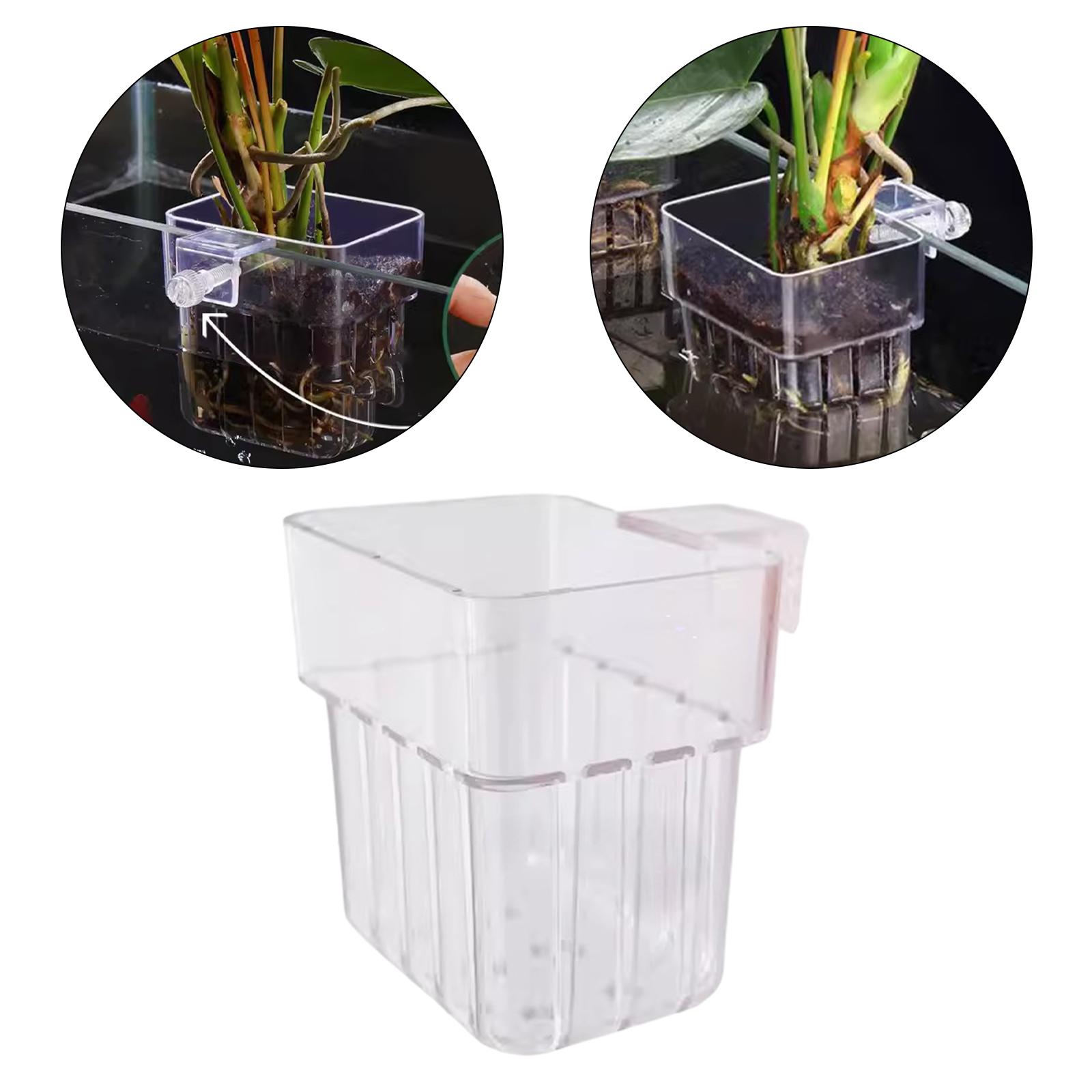 Tempat Tanaman Akuarium Transp - Planted Aquarium Mini ulasan dan harga