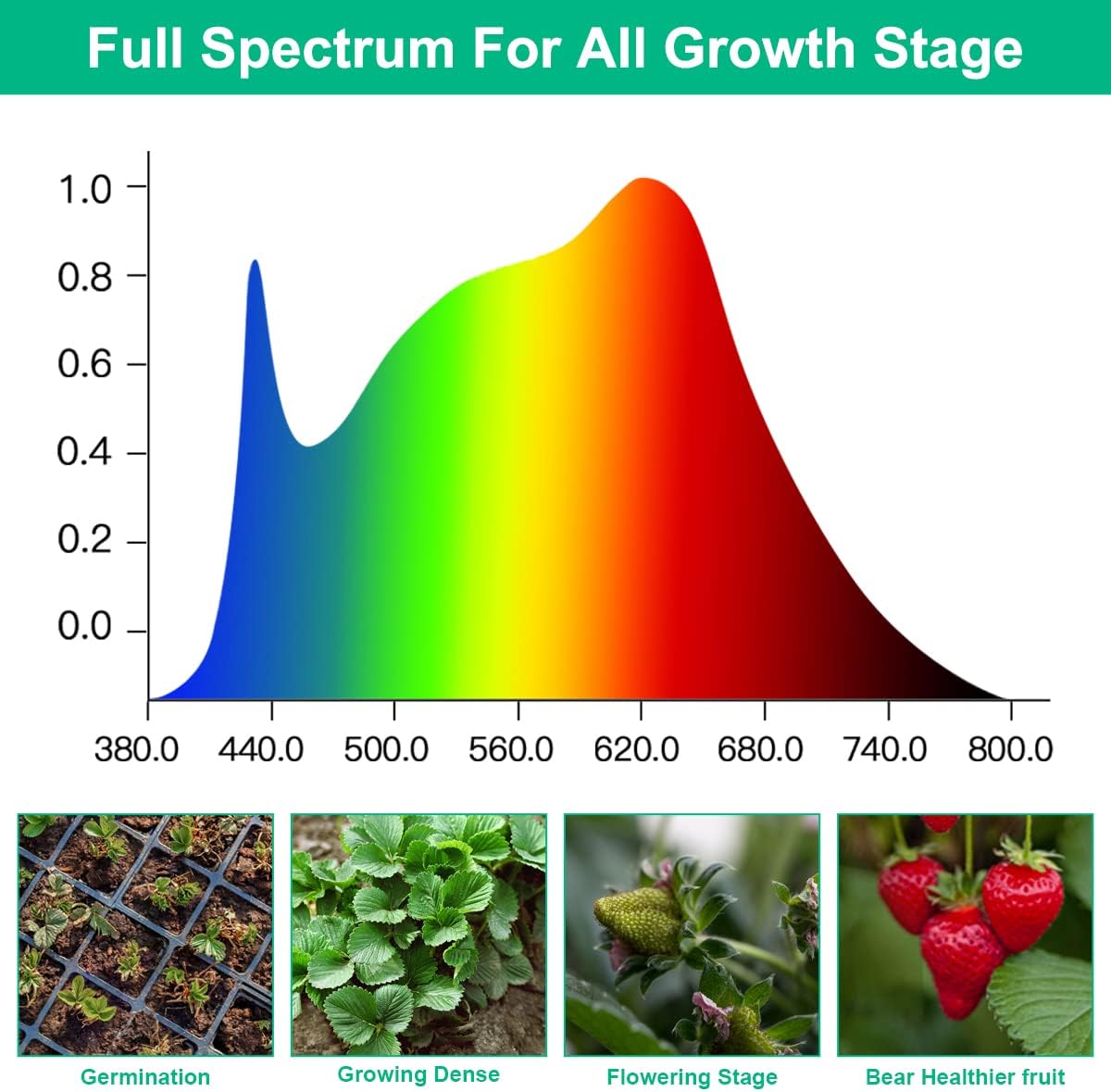 Lampu Tumbuh LED Tanaman Spekt - Aquarium Planted Seeds ulasan dan harga