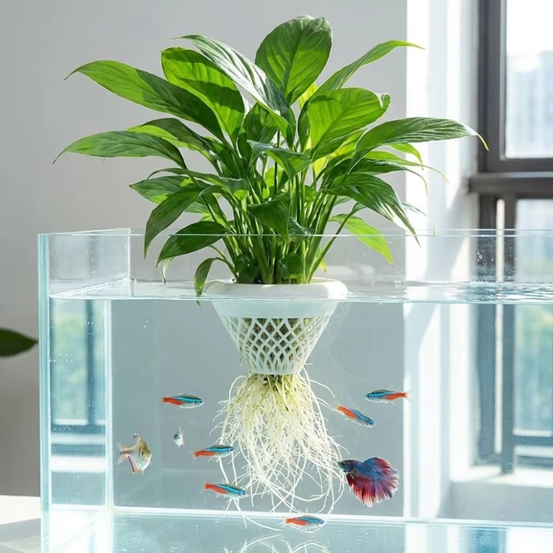 Pot Tanaman Akuarium Mengamban - Planted Aquarium Jar ulasan dan harga