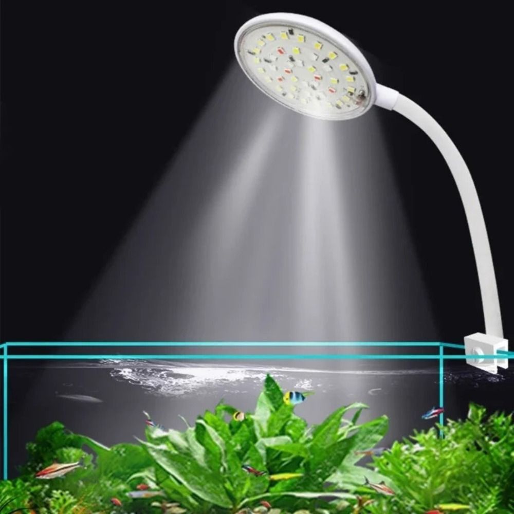 Lampu Klip Akuarium Mini Rotas - Planted Aquarium Mini ulasan dan harga