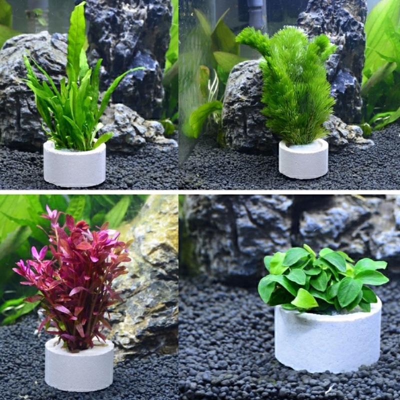 37ME 10 Buah Set Cincin Tetap  - Aquarium Plant Rings ulasan dan harga