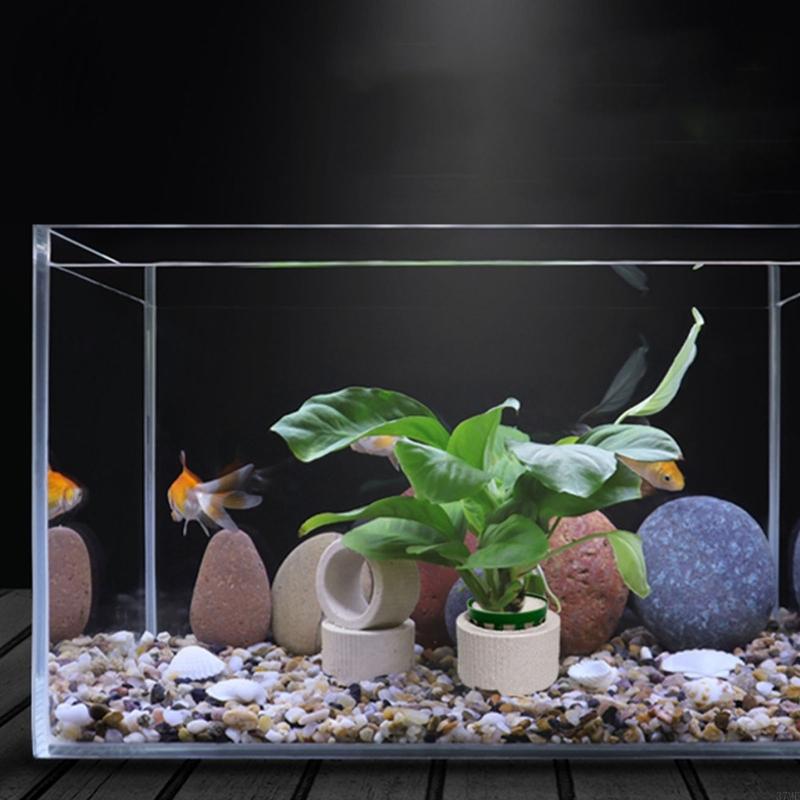 37ME 10 Buah Set Cincin Tetap  - Aquarium Plant Rings ulasan dan harga