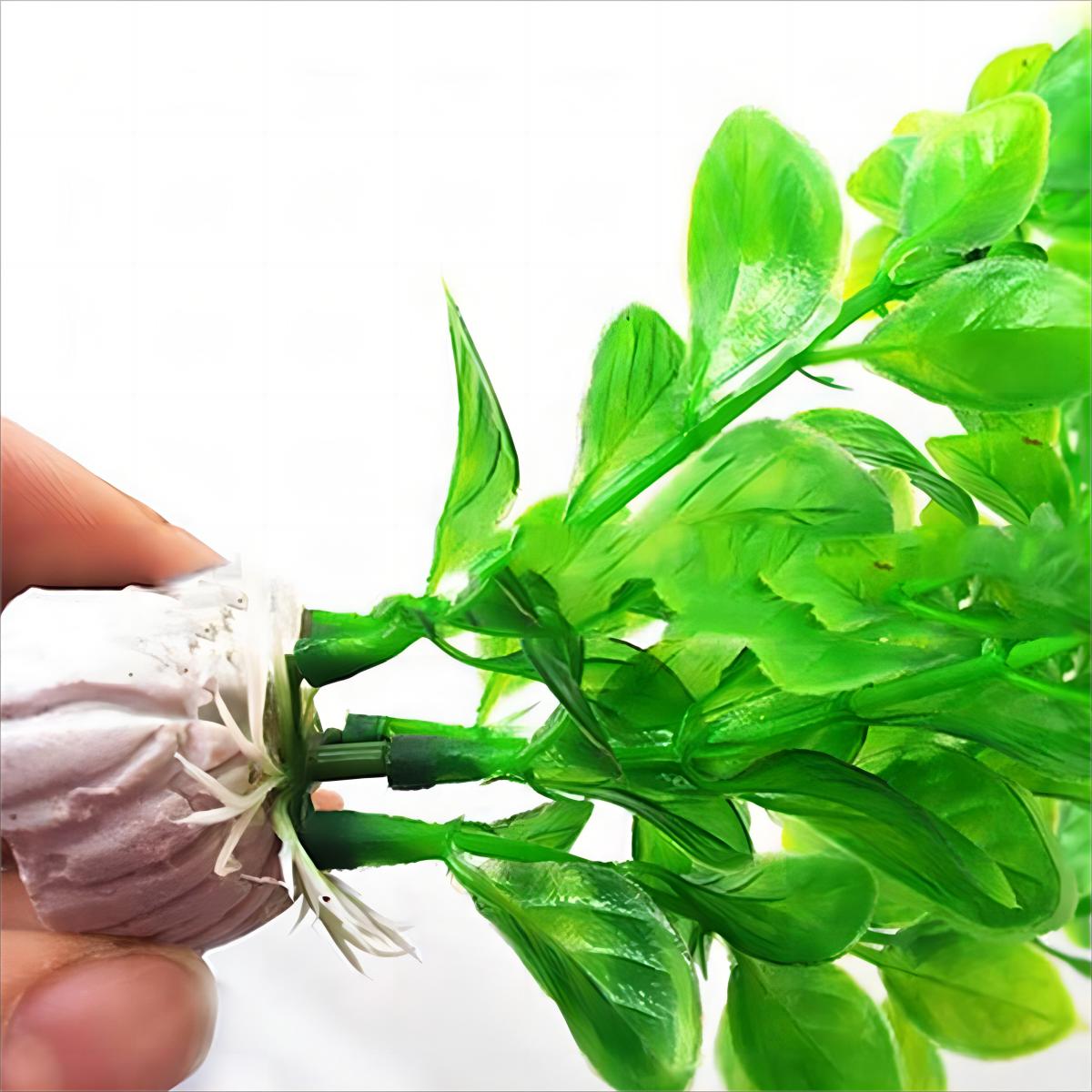 Dekorasi akuarium tanaman buat - Planted Aquarium Materials ulasan dan harga