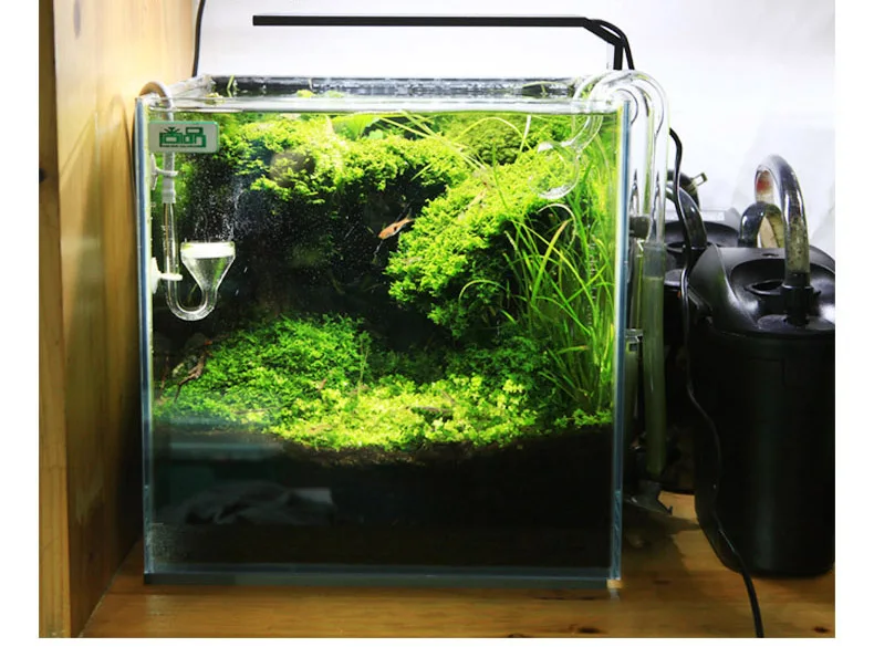 Chihiros C Series ADA Style Pl - Planted Aquarium Ada ulasan dan harga