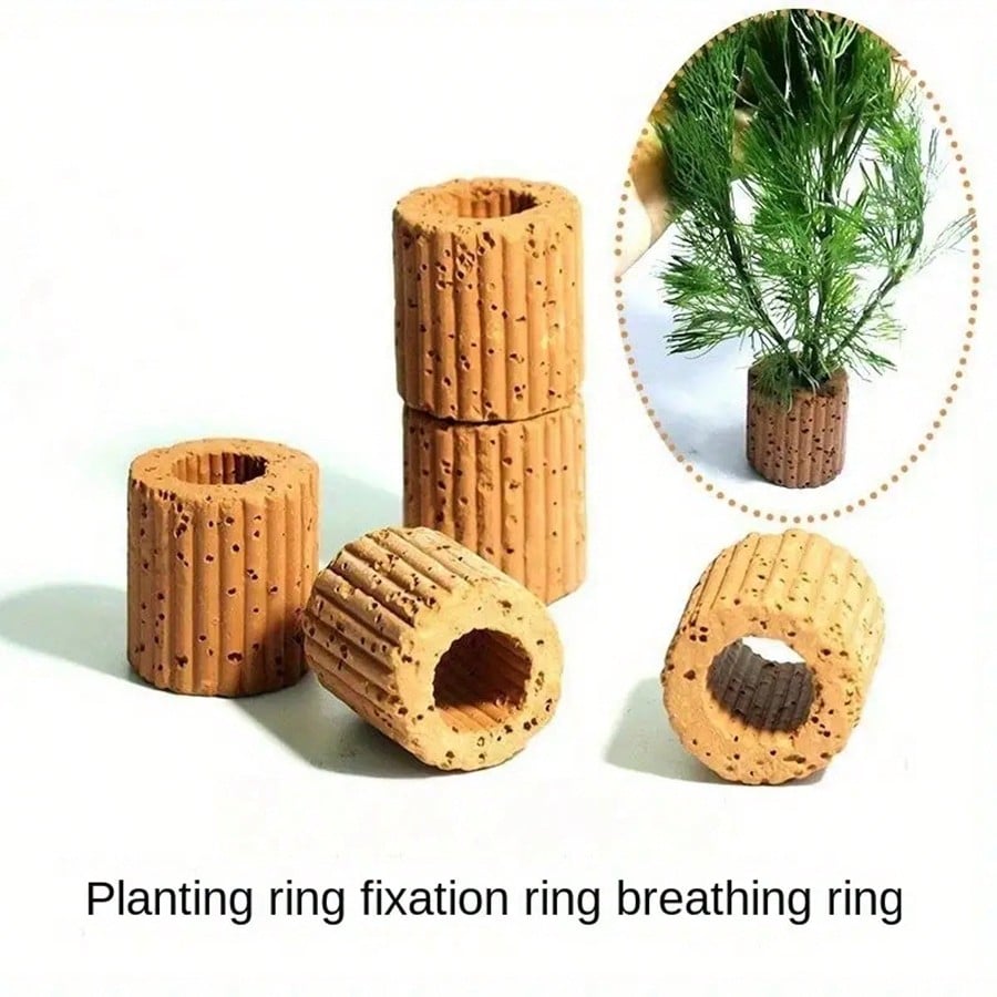 Cincin Fiksasi Tanaman Akuariu - Aquarium Plant Rings ulasan dan harga