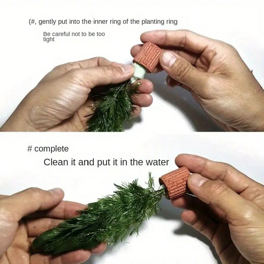 Cincin Fiksasi Tanaman Akuariu - Aquarium Plant Rings ulasan dan harga