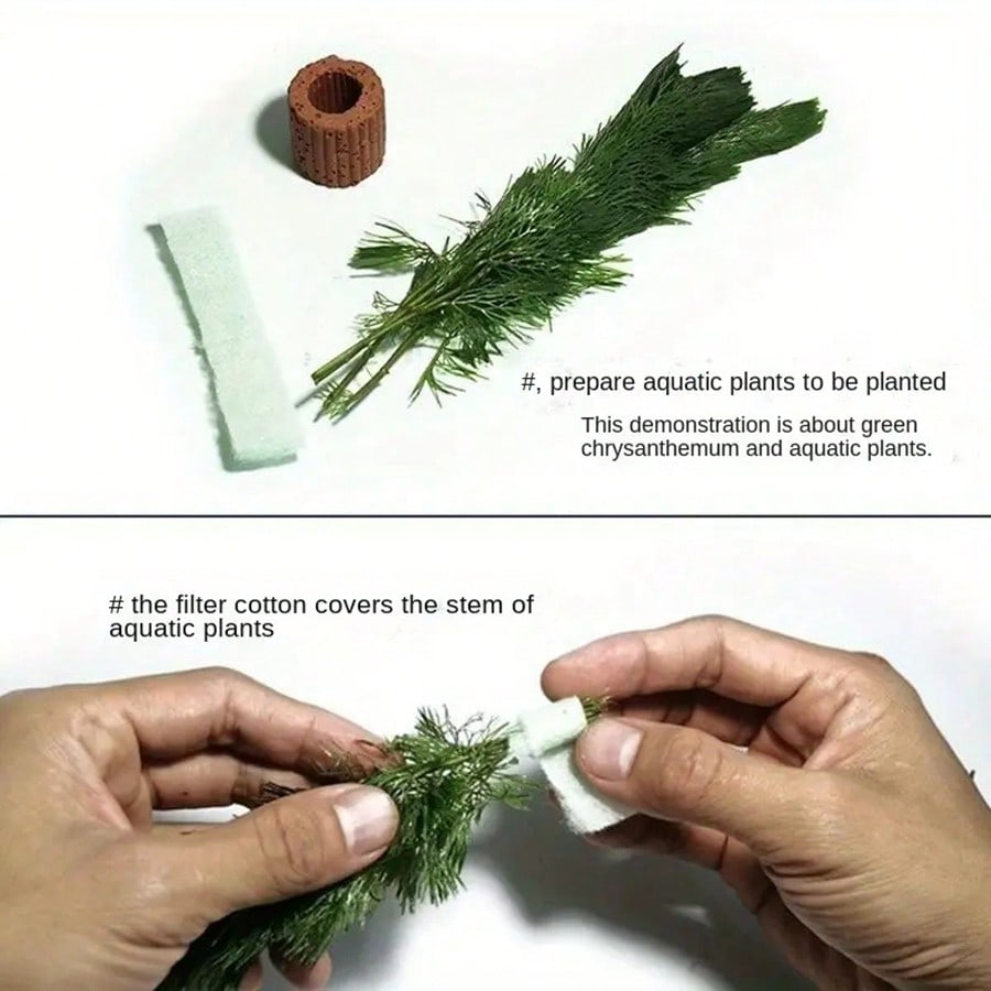 Cincin Fiksasi Tanaman Akuariu - Aquarium Plant Rings ulasan dan harga