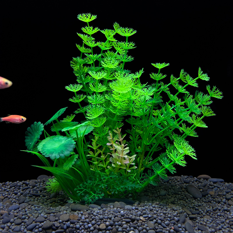 1 Buah Tanaman Dekorasi Akuari - Planted Aquarium Bowl ulasan dan harga