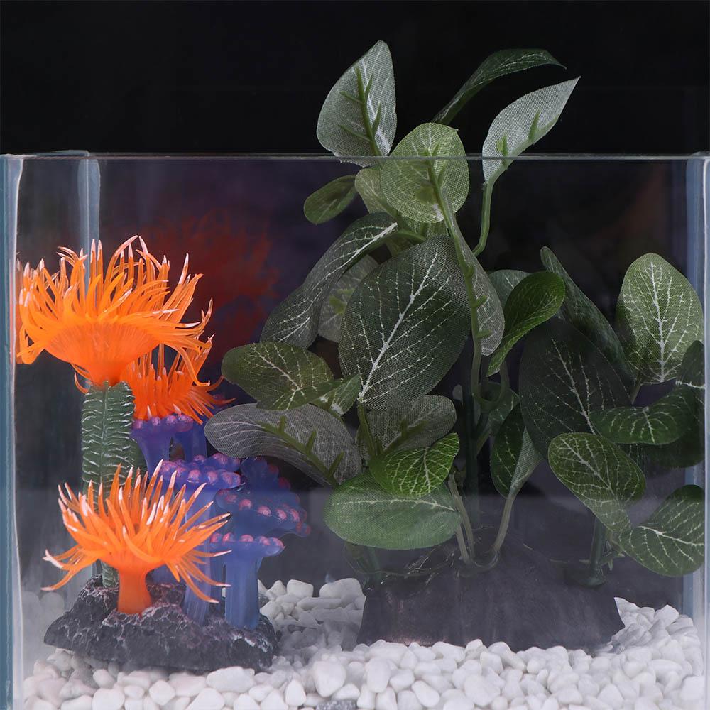 Tanaman Buatan Sutra Kreatif R - Planted Aquarium Jar ulasan dan harga