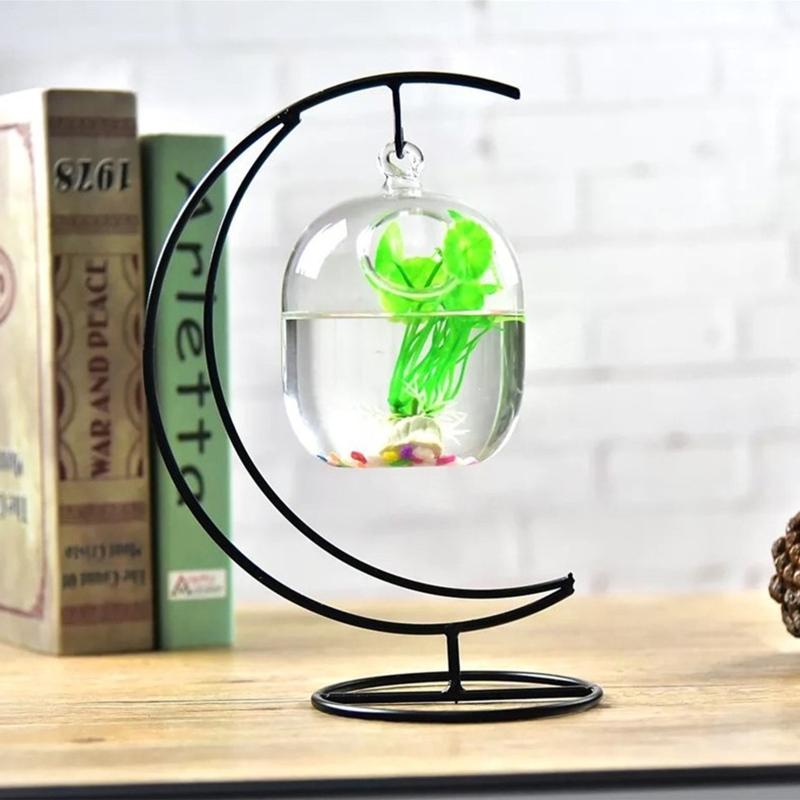 62kd Suspended Transparent Han - Planted Aquarium Bowl ulasan dan harga