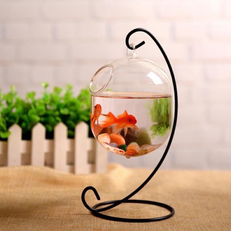 62kd Suspended Transparent Han - Planted Aquarium Bowl ulasan dan harga